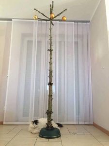 Weihnachtsbaum für Katzenbesitzer